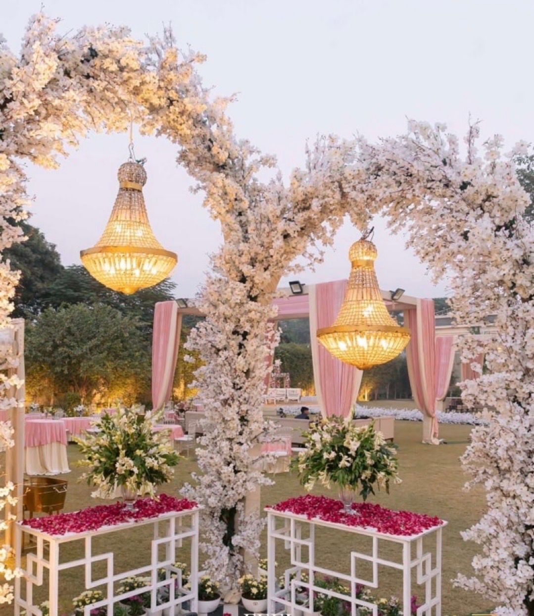 Cherry Blossom Reception